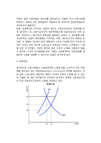 노동시장의 불완전성 - 불완전 경쟁모형-8