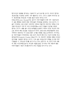유럽연합(EU)에 관한 이해 -유럽연합 발전과정-9