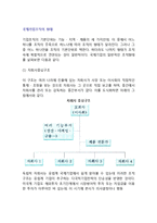 [국제기업조직의 형태] 국제기업(글로벌기업)의 조직형태(종류)-2
