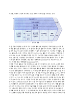 [글로벌경쟁전략의 전개] 기업의 글로벌화와 경쟁전략, 글로벌경쟁우위의 구축-3