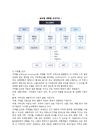 [글로벌기업 경영조직구조의 발전] 글로벌기업(국제기업)의 조직구조 발전과정과 유형, 조직구조의 결정-6