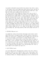 [글로벌기업의 정치적환경] 글로벌기업 정치적 위험의 영향과 평가방법(평가절차)-6
