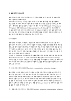 [글로벌마케팅전략의 전개] 글로벌기업의 마케팅전략(국제마케팅전략) 표준화와 차별화, 글로벌마케팅믹스전략-5