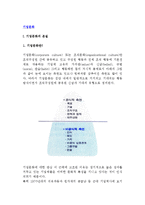 [기업문화] 기업문화의 본질(개념,구성요소,평가)과 유형, 기업문화의 개발, 국가별 기업문화의 특성비교-2