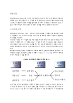 [스포츠와 동기] 추동이론(추동이론모형, 추동이론과 학습 및 수행)-2