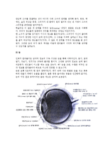 [시각커뮤니케이션] 시각커뮤니케이션의 기초(중요성,과정)와 시각커뮤니케이션이론(게슈탈트이론,기호학)-3
