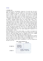 [전략경영] 전략경영의 의의, 전략적 도구와 전략의 유형, 전략적 제휴, 기업의 CI전략, 전략적 시너지효과-2