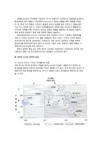 [전략경영] 전략경영의 의의, 전략적 도구와 전략의 유형, 전략적 제휴, 기업의 CI전략, 전략적 시너지효과-5