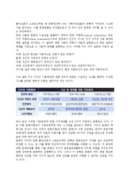 글로벌기업의 문화적환경 분석(문화적 환경의 부분적,종합적 분석)-3