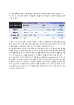 글로벌기업의 문화적환경 분석(문화적 환경의 부분적,종합적 분석)-8