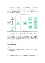 [가족스트레스와 레질리언스] 가족스트레스의 개념과 요인 및 이론, 스트레스반응-9