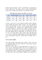[서비스기업의 성장전략] 서비스기업의 성장패턴, 글로벌리제이션, 발달과정, 발전방안-5