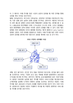 [서비스기업의 성장전략] 서비스기업의 성장패턴, 글로벌리제이션, 발달과정, 발전방안-6