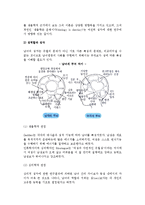 [성과 성역할] 성과 성역할의 의미와 성역할 습득방법 및 역할평등-6