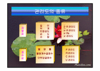 [품질관리] SQC 통계적 품질관리-9