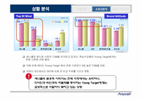 [브랜드마케팅] 영타켓확보를 위한 `애니콜`브랜드커뮤니케이션전략-8