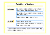 [소비자행동] 문화와 소비자행동에 대한 생각-2