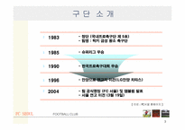[스포츠마케팅] 프로축구FC SEOUL 활성화 및 개선 방안-3