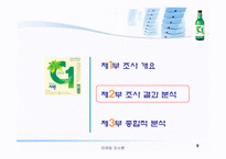 [마케팅조사론] 대선주조의 `C1소주`시원소주 조사-9