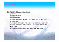 [경영정보] 전문가시스템-13