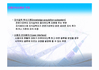 [경영정보] 전문가시스템-17