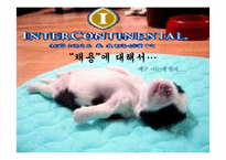 [호텔인사관리론] 그랜드인터콘티넨탈 호텔 채용 조사-1