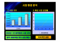[마케팅] 청정원 순창고추장 마케팅전략-8