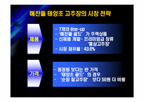 [마케팅] 청정원 순창고추장 마케팅전략-19