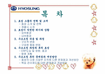 [구조조정] 효성그룹의 구조조정 문제점 및 개선방안-2