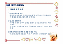 [구조조정] 효성그룹의 구조조정 문제점 및 개선방안-16