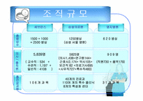 [경영조직론] 병원산업 조직분석-13