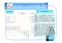 [경영조직론] 병원산업 조직분석-14