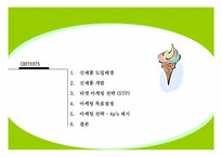 [사업계획서] 아이스크림 신제품개발계획-3