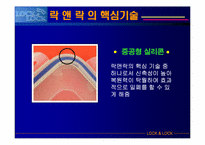 [국제마케팅](주) 하나코비 락앤락 마케팅-12