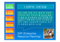 erp(전사적자원관리) 분석-2