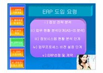 erp(전사적자원관리) 분석-7