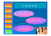 erp(전사적자원관리) 분석-16