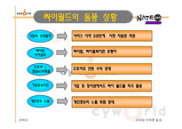 [마케팅전략] 싸이월드 마케팅성공사례-8