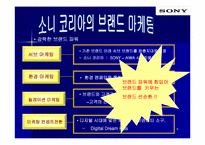 [국제경영전략] SONY KOREA 소니코리아 전략분석-8