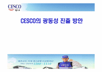 [국제마케팅] 세스코 CESCO의 광동성진출 방안-1
