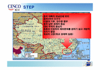 [국제마케팅] 세스코 CESCO의 광동성진출 방안-10