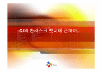 [금융위험관리] CJ의 환리스크 헷지에 관하여-1