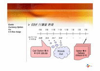 [금융위험관리] CJ의 환리스크 헷지에 관하여-15