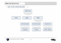 [마케팅전략] 오피러스의 현황 및 문제점 및 해결방안 모색-14