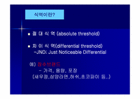 식역하광고 레포트-3