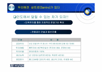 [국제마케팅] 현대자동차의 인도진출-7