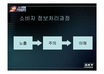 [소비자광고심리학] 광고로보는 애니콜 vs 스카이-7