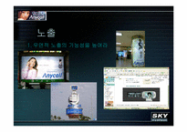 [소비자광고심리학] 광고로보는 애니콜 vs 스카이-8