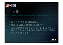 [소비자광고심리학] 광고로보는 애니콜 vs 스카이-9