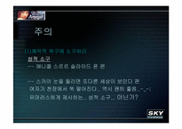 [소비자광고심리학] 광고로보는 애니콜 vs 스카이-10